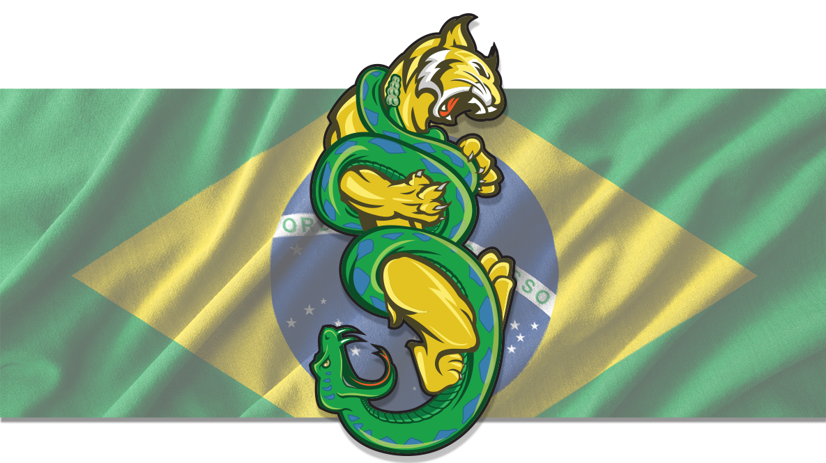 Boa Sorte: Brazilian Jiu Jitsu photo